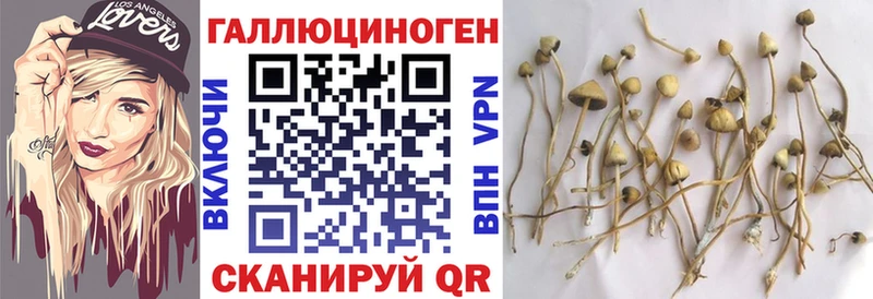 Галлюциногенные грибы ЛСД  Дятьково 
